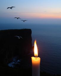 This image depicts a beautiful sunset over a coastal cliff, with soaring birds adding to the scenic view. The scene is unique