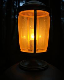 Experience the enchanting ambiance of a cast bronze lantern casting a gentle, soft light in the depths of a dark forest. Diff