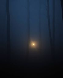 Immerse yourself in a mysterious atmosphere with this evocative artwork. A glowing lantern pierces the thick fog of a dark fo