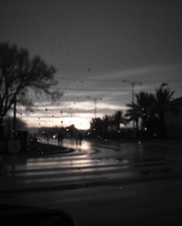 This classic black and white photograph captures a soft, dreamy atmosphere during a wet, rainy scene where snowflakes fall am