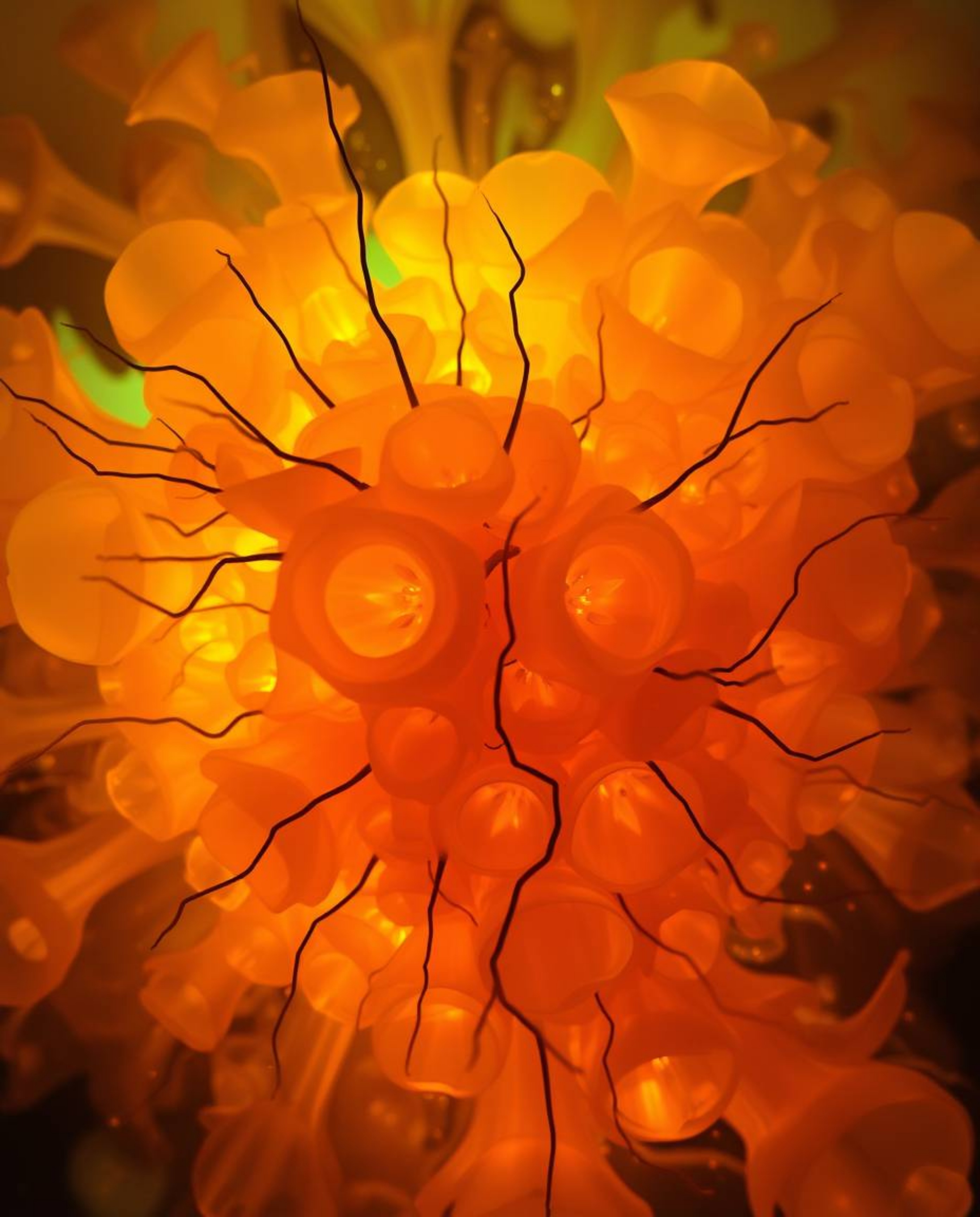 Explore a captivating collection of unusual and original fine art photography featuring warm, soft tones and the magical glow