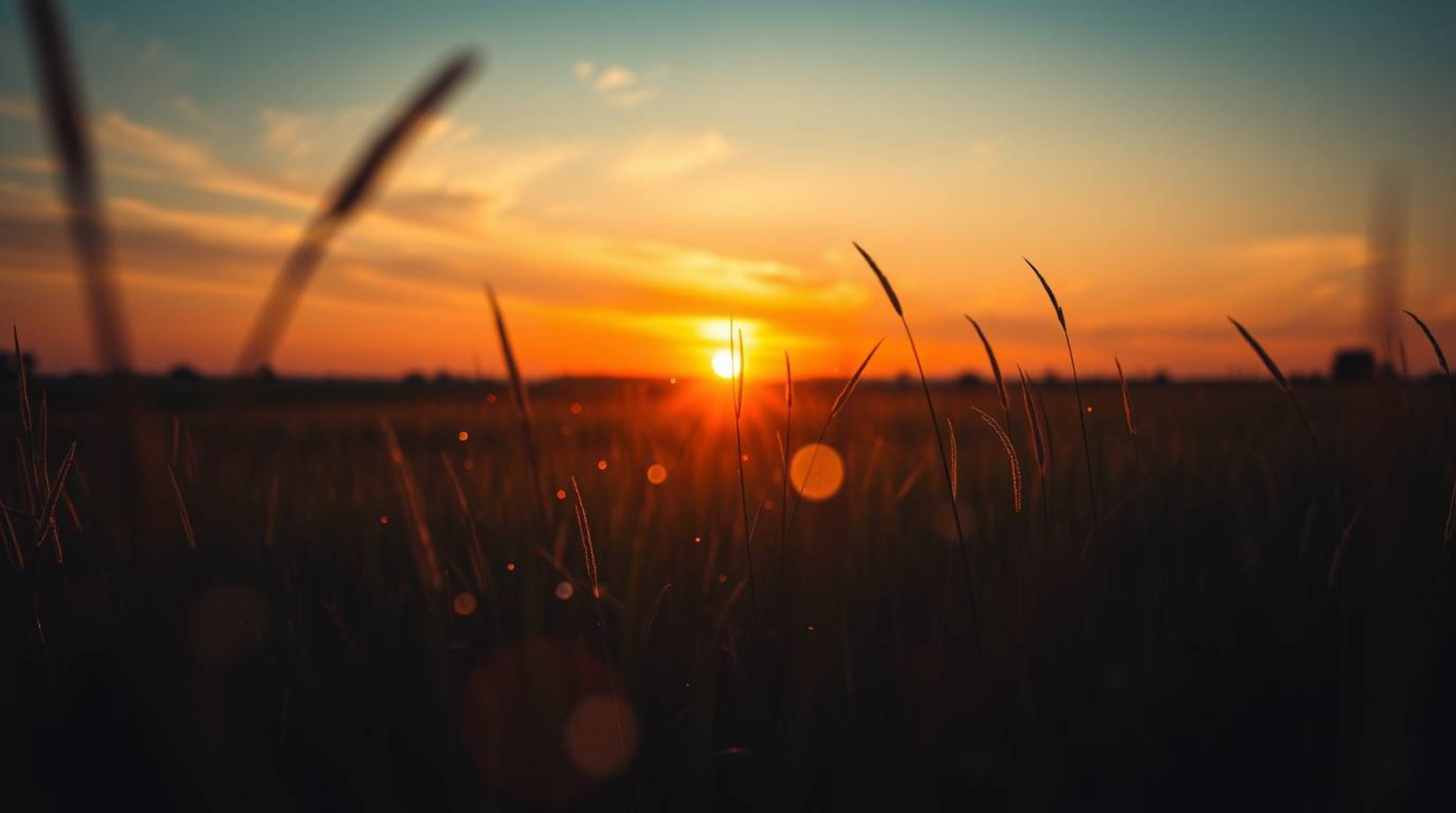 Capture the magic of a sunset over a serene meadow, where fireflies begin to twinkle against the canvas of abstract light pat