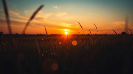 Capture the magic of a sunset over a serene meadow, where fireflies begin to twinkle against the canvas of abstract light pat