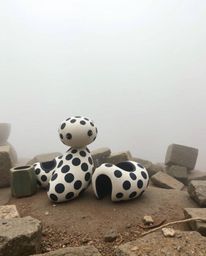 Explore captivating sculptural clay art featuring thick, foggy surroundings and low visibility. These pieces showcase black a