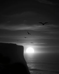 This is a classic black and white photo of a coastal cliff sunset, complete with soaring birds. The image evokes an eerie and