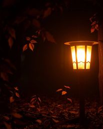 Discover the enchanting beauty of a glowing lantern illuminating a dark forest, bathed in warm autumn colors.  The gentle, di