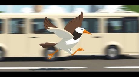 A vibrant, modern flat design illustration showcases a fast-running bird zooming past stylized traffic.  The close-up shot em