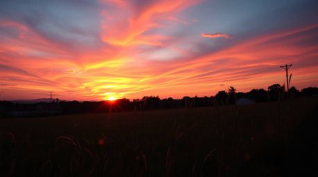 A stunning high-resolution stock photo captures the vibrant colors of an electric sunset over a tranquil meadow.  Fireflies b
