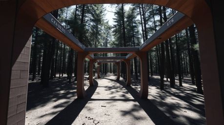 A dynamic architectural color photograph capturing a chase scene amidst a looping forest backdrop. The image is characterized