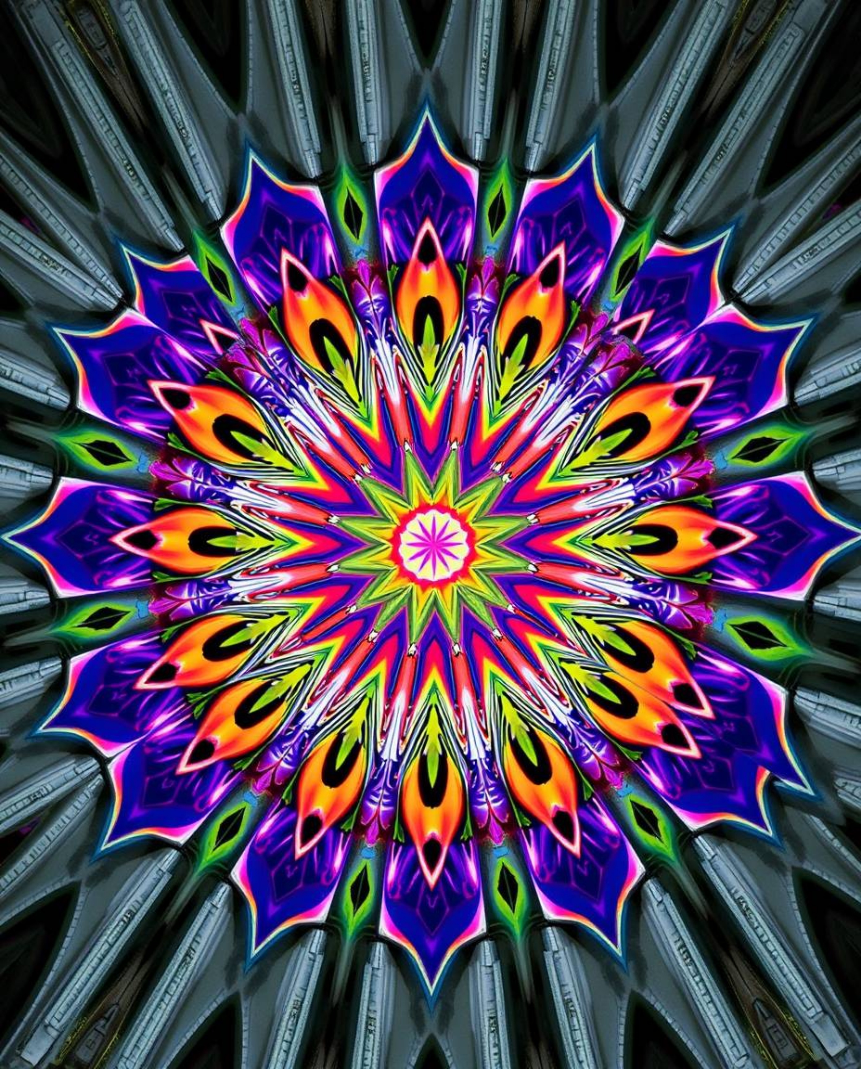 A captivating image showcases a geometric floral mandala bursting with vibrant colors.  Its perfectly symmetric design and pr