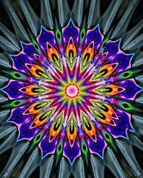A captivating image showcases a geometric floral mandala bursting with vibrant colors.  Its perfectly symmetric design and pr