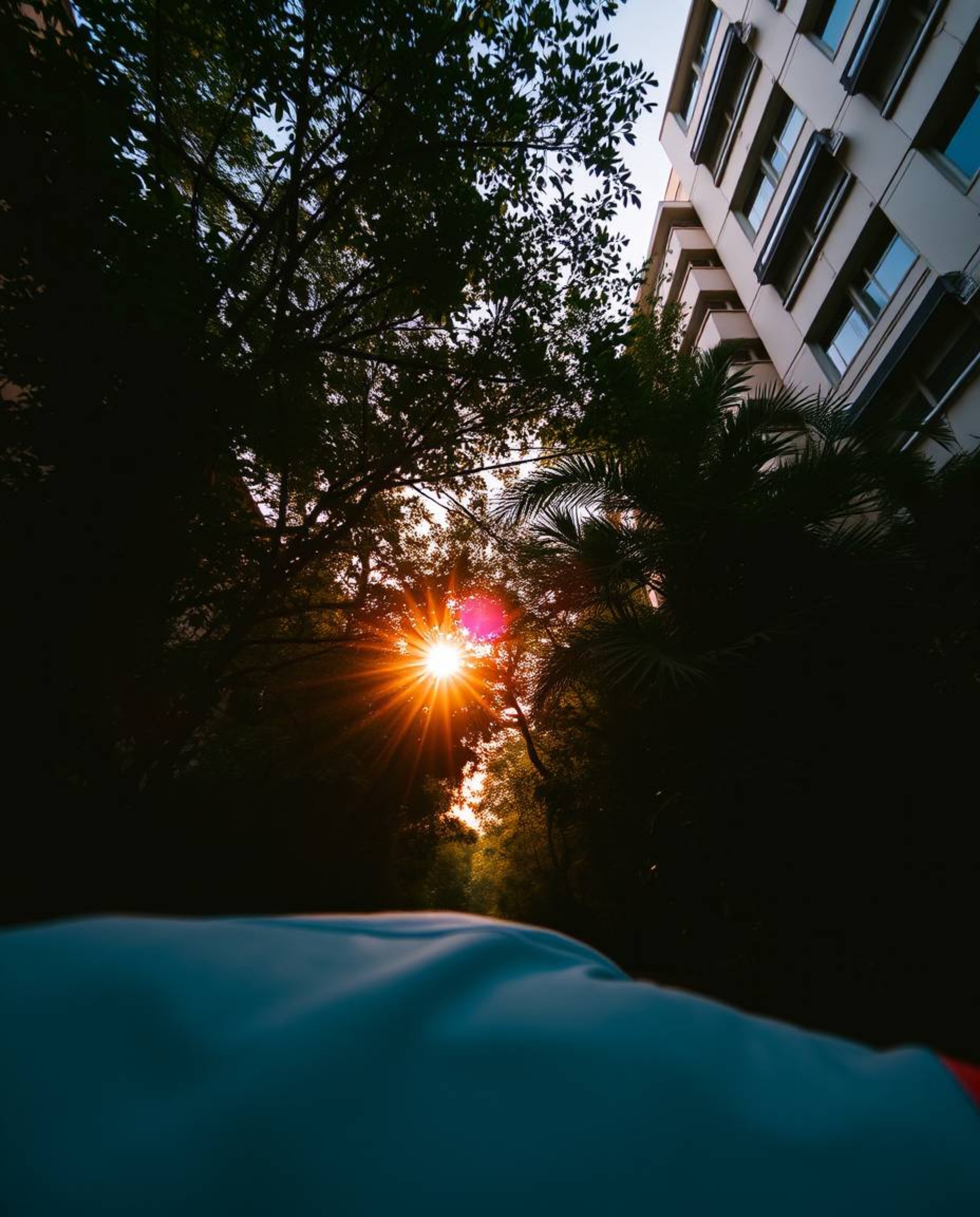 A candid street photography-style image taken from a low angle, depicting a sunset filtering through a dense jungle canopy wi