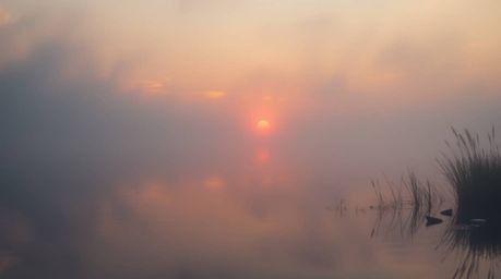 Experience a soft, dreamy atmosphere with this image depicting a hazy reflection of a vibrant sunset in a tranquil pond.  Gen