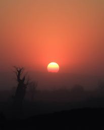 Witness a breathtaking sunrise casting a soft, dreamy glow over a war-torn landscape.  The scene is imbued with an ethereal a