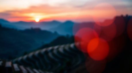 A stunning photograph captures the serene beauty of rice terraces bathed in the warm glow of a golden hour sunset.  The image