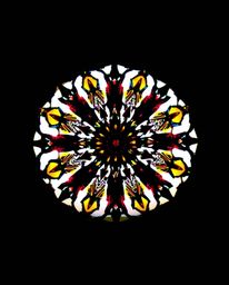 A captivating image showcasing a geometric floral mandala, dramatically backlit to create a striking silhouette.  The vibrant