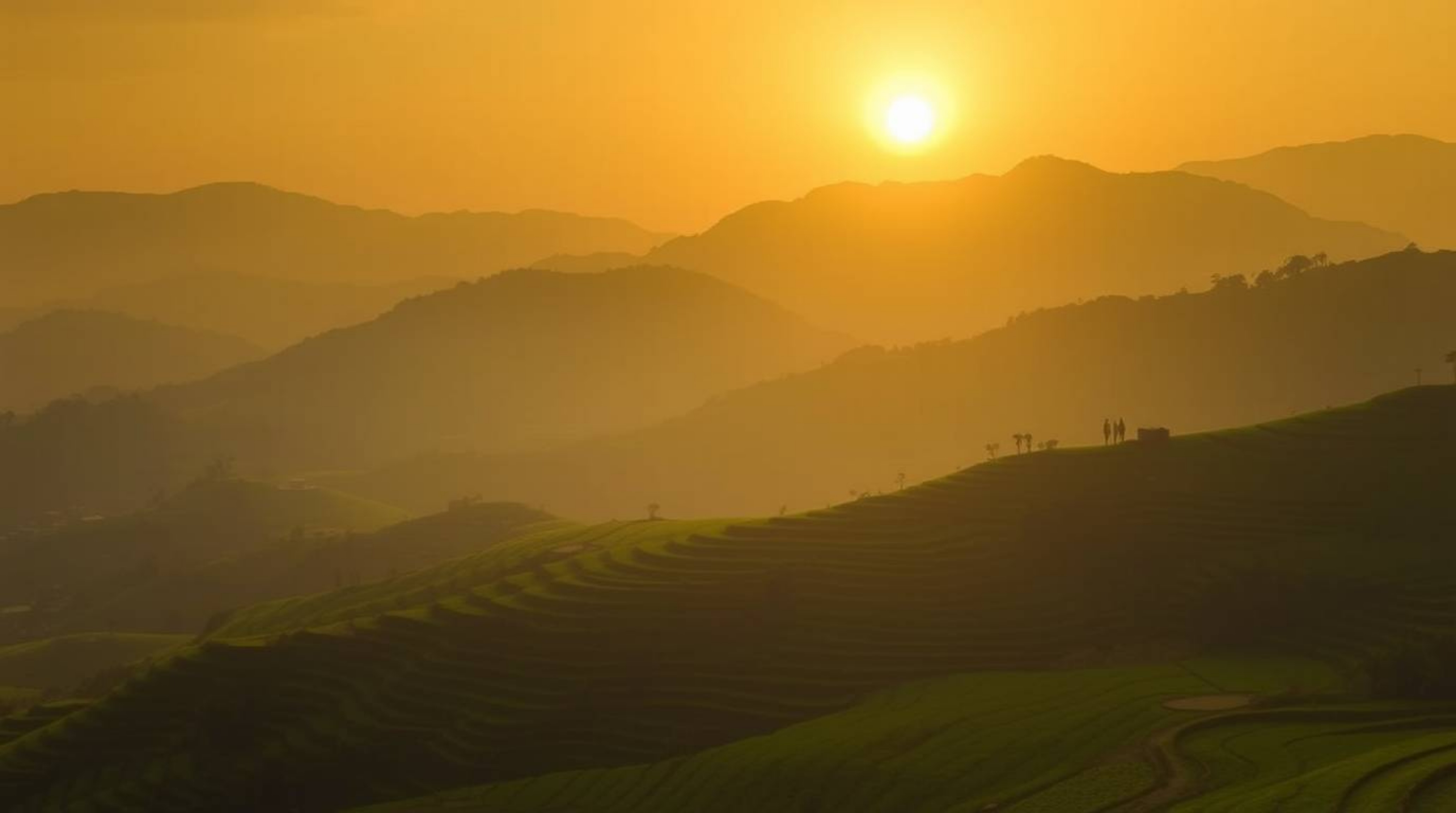 Experience the serene beauty of a sunset casting soft, diffused light over lush green rice terraces nestled in majestic mount