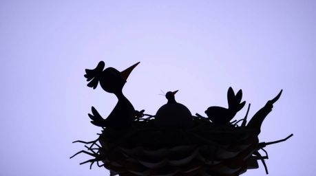 Delightful imagery of two cartoon birds meticulously constructing a nest within a layered papier-mâché sculpture.  The backli