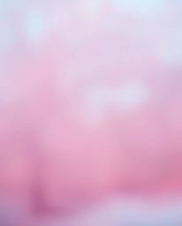 This image features a surreal infrared photography style with a blurred bokeh effect and soft cinematic haze.  The soft gradi