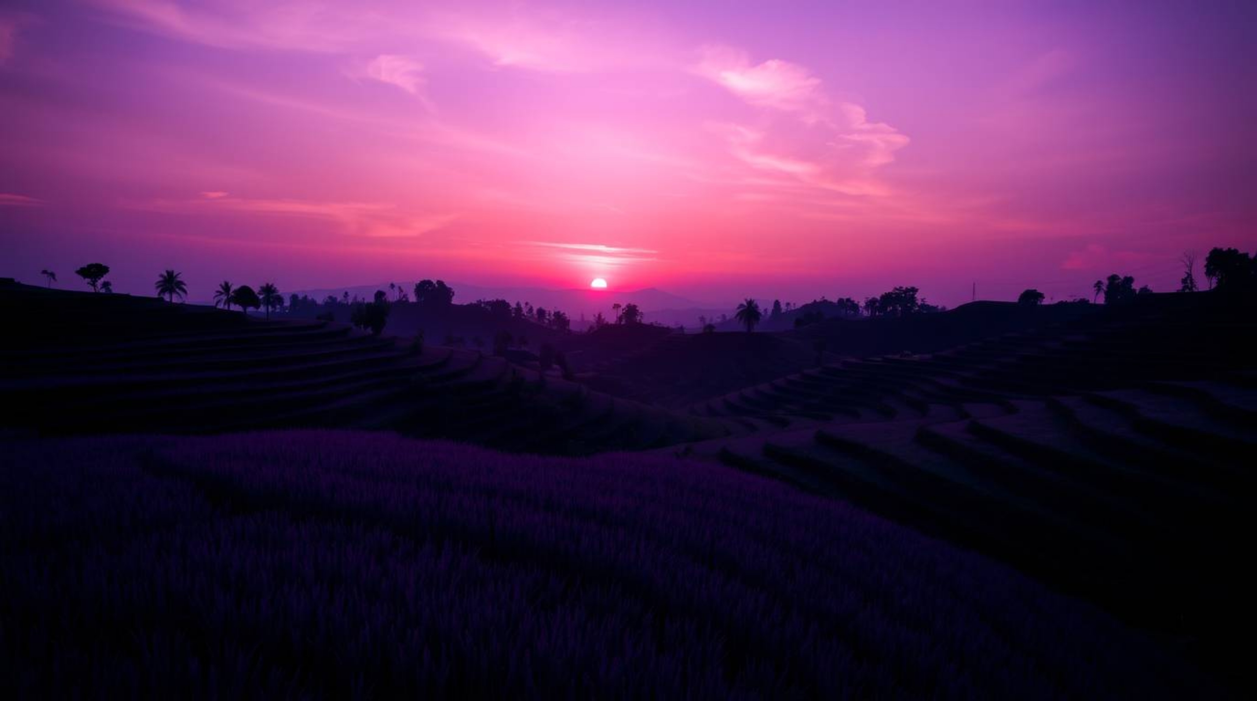 Experience the breathtaking beauty of a sunset over lush rice terraces. This image showcases vivid purple and deep ultraviole