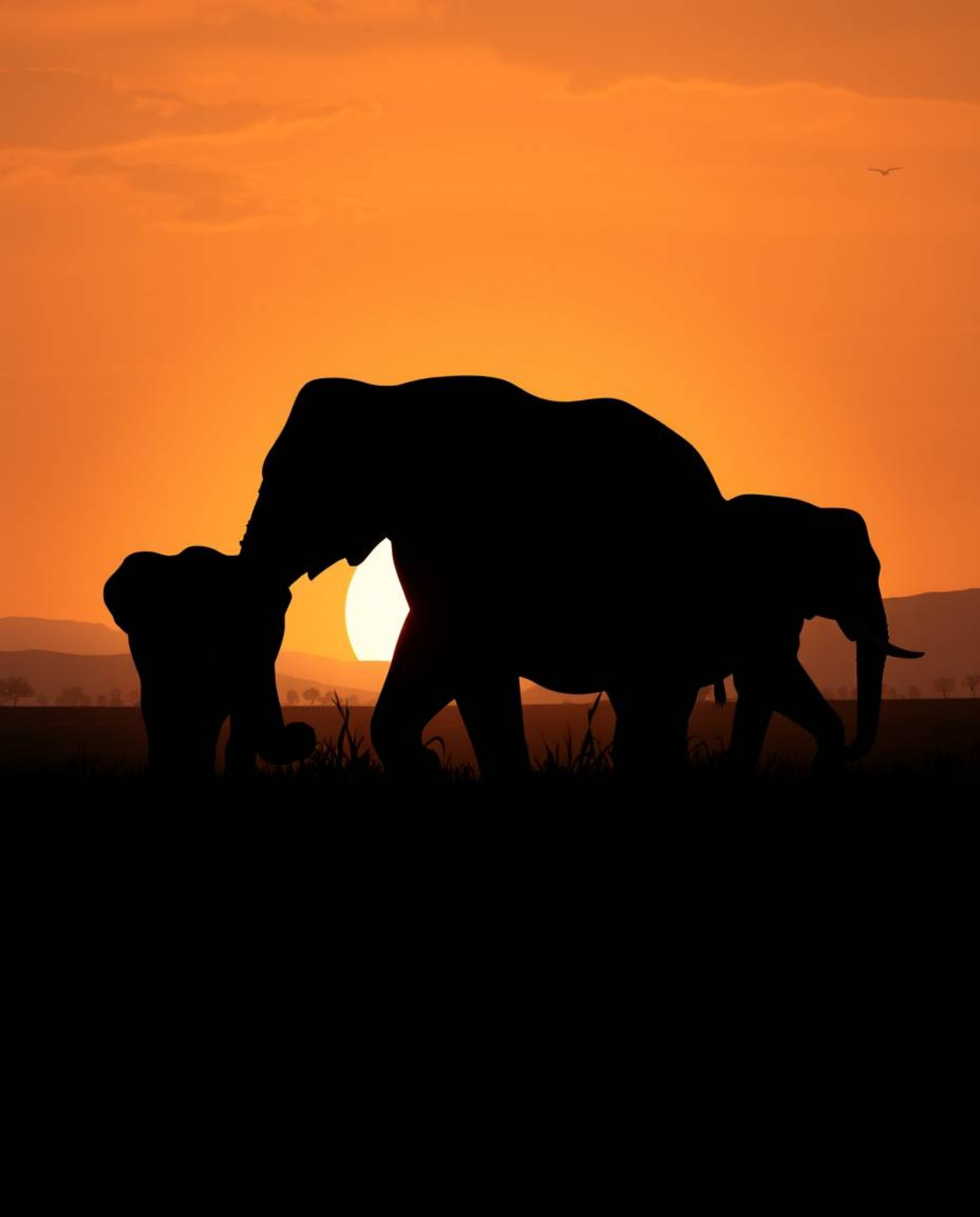 A moody Isekai anime style silhouette of elephants walking across a field at sunset, featuring backlighting and an expressive