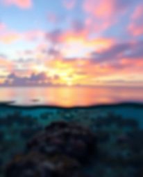 A logo design inspired by a blurred bokeh effect, this concept places sharp focus on a colorful sky over a coral reef at low 