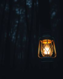A captivating close-up captures a glowing lantern in a dark and mysterious forest.  The image features intense dramatic light