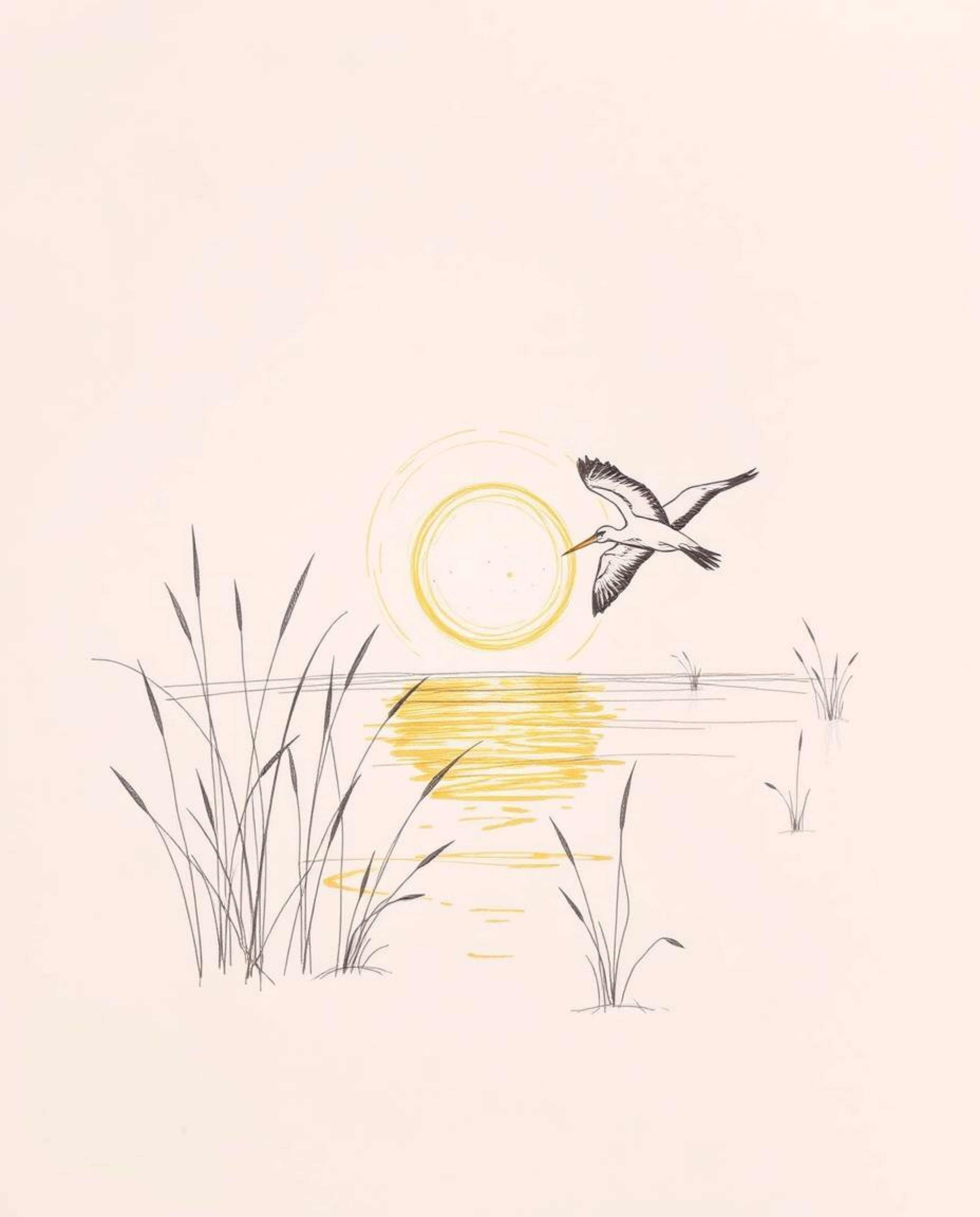 A hand-drawn sketch on a white background, depicting a graceful and elegant golden hour scene in the wetlands with herons fly