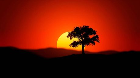 A captivating image showcasing a lone tree silhouetted against a vibrant fiery sunset.  The scene is rendered in a modern fla