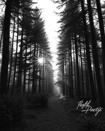 A captivating blend of classic black and white photography and digital glitch art transforms a serene forest scene into a sur