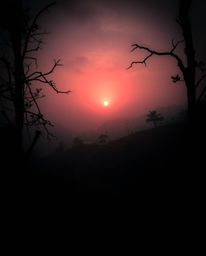 A high-contrast, low-key photograph depicting a sunset over terraced tea plantations. The image evokes an eerie and creepy at