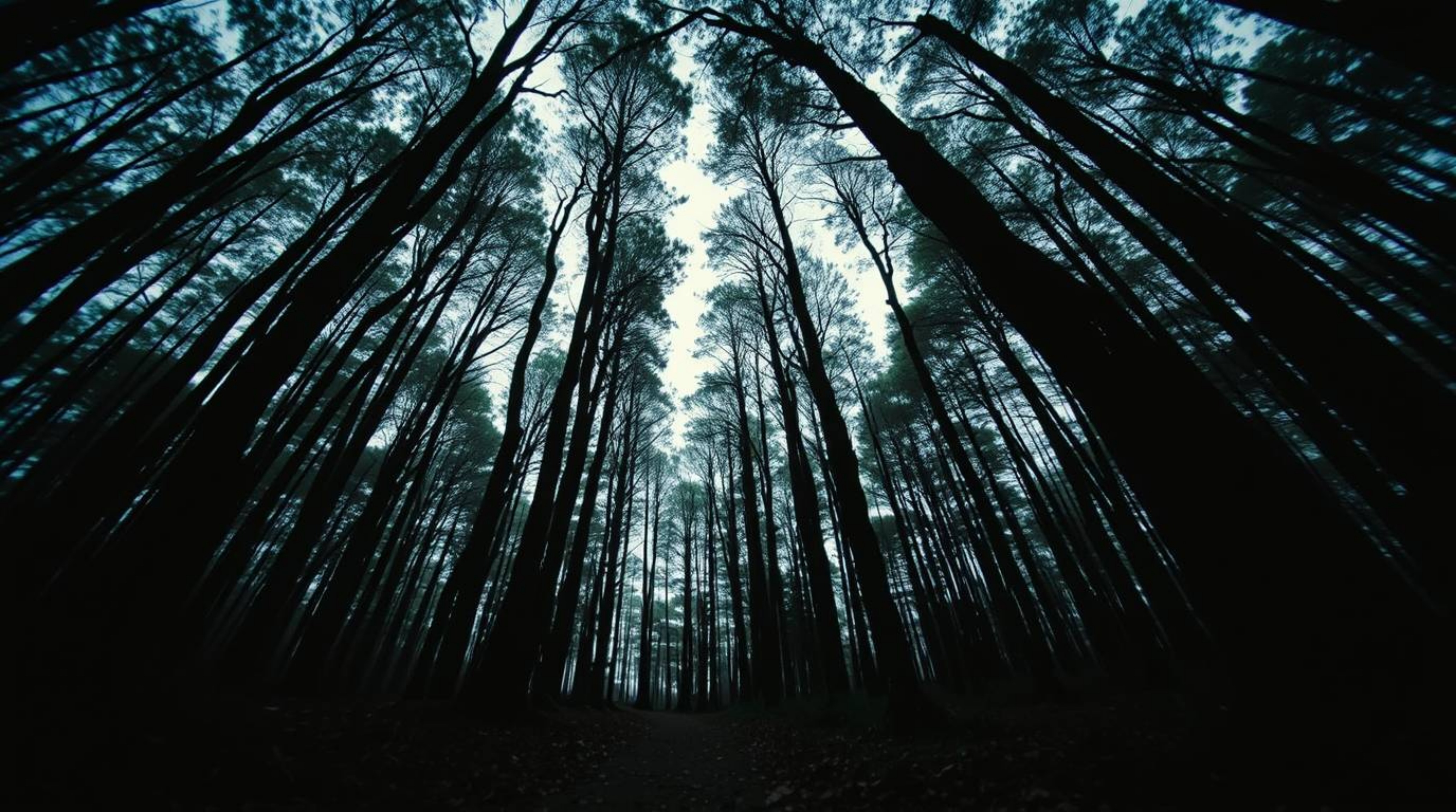 Experience a captivating chase scene through a looping forest background. This visually striking composition features a stron