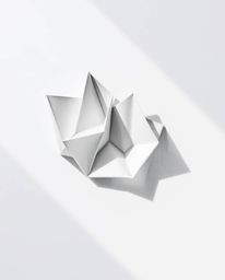 Explore the captivating blend of delicate watercolor painting and monochrome 3D geometric patterns. This unique artwork evoke