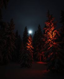 Creative light art evokes an eerie, creepy atmosphere as sunset light sparkles on snowy pine trees. This piece is characteriz