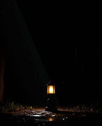 A captivating split-screen artwork depicting a glowing lantern illuminating a dark forest. The scene utilizes bold contrasts 