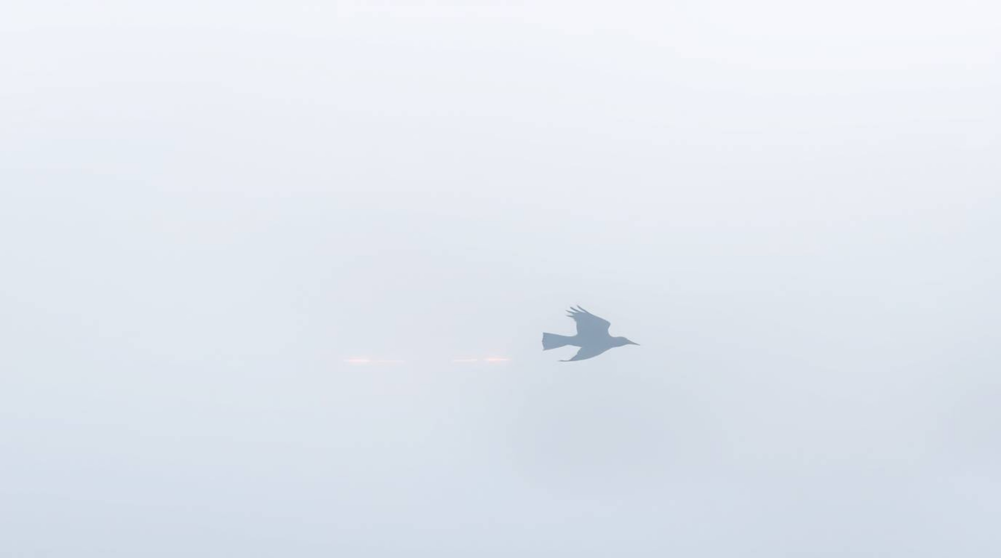 Captured in a randomized aesthetic, the image depicts a scene of thick fog with a smooth gradient transition. A fast-running 