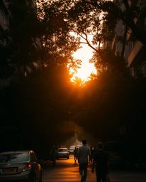 A candid street photography image in natural earth tones, depicting a sunset viewed through a dense jungle canopy that has be