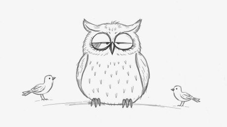 A charming hand-drawn sketch depicts a blind owl, rendered in a Pixar-esque style with soft, feathery details and rough lines