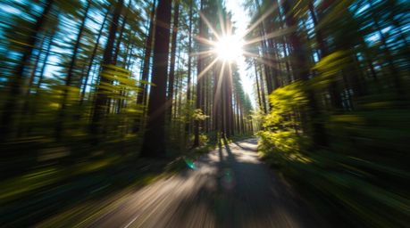 Experience a thrilling chase through a mesmerizing looping forest, rendered in hyperrealistic detail with vibrant colors and 