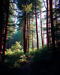 07006f0040c50b60ea0c00600aa0e10460490de09c06d018_125.jpg