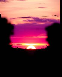 A stunning silhouetted photograph captures a luxurious and vibrant scene, featuring a rich deep teal sunset over a vineyard. 
