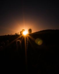 A long exposure photograph captures a desert cactus glowing in the last rays of the sun. The image showcases strong contrasts