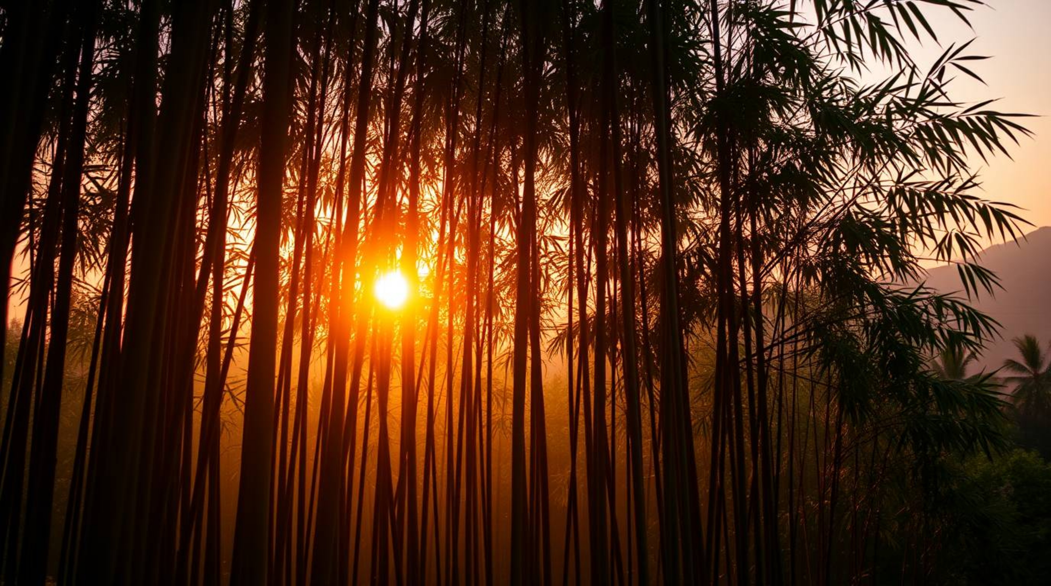 Experience the tranquility of a bamboo forest bathed in the warm hues of a setting sun. This cinematic image, captured with s