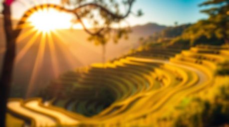 Capture the breathtaking beauty of a sunset over vibrant rice terraces with this stunning long exposure photograph. The warm 