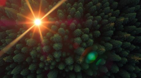 Experience the breathtaking beauty of a sunset filtering through a dense forest. This aerial photograph captures vibrant colo