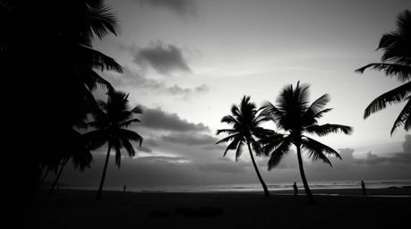 Explore a collection of evocative images, from an eerie black and white photograph creating a creepy atmosphere to a gently l
