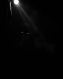 A captivating black and white photograph depicts a shadowy alley at night, where eyes watch intently. Volumetric lighting dra
