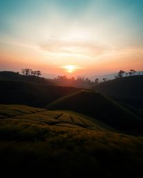This is a warm-toned long exposure photograph of a sunset over terraced tea plantations. The technique beautifully captures m