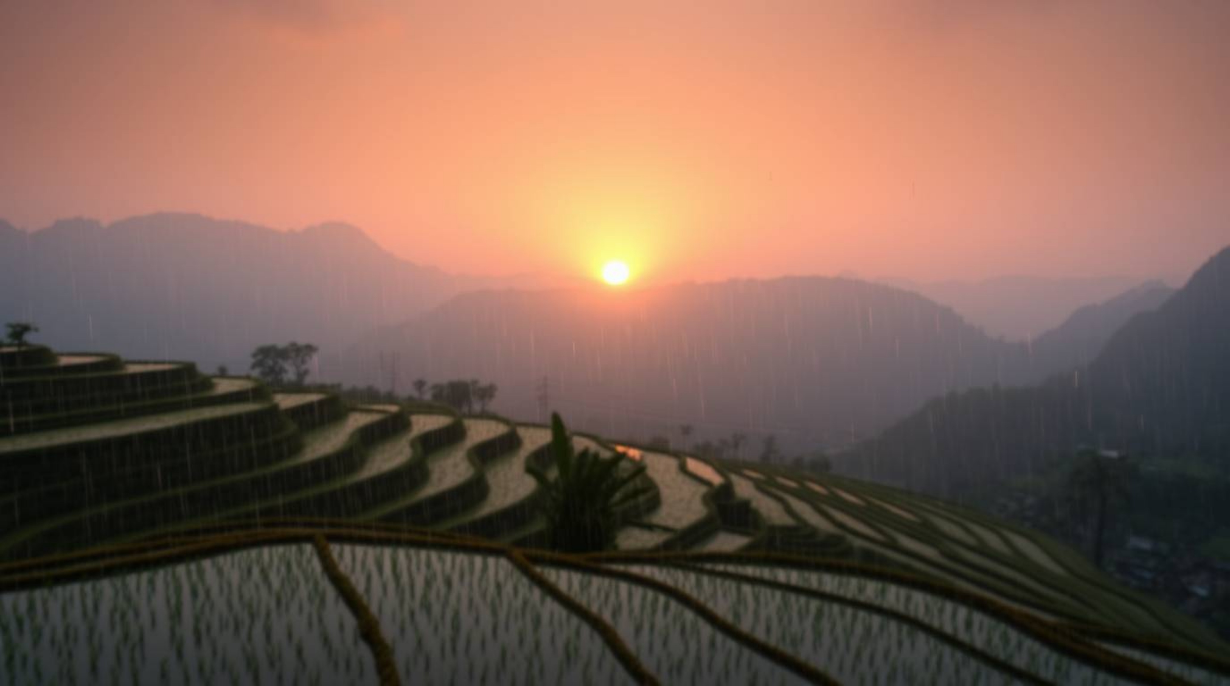 Immerse yourself in a soft, dreamy atmosphere as a stunning sunset paints the sky over mountainous rice terraces, kissed by a