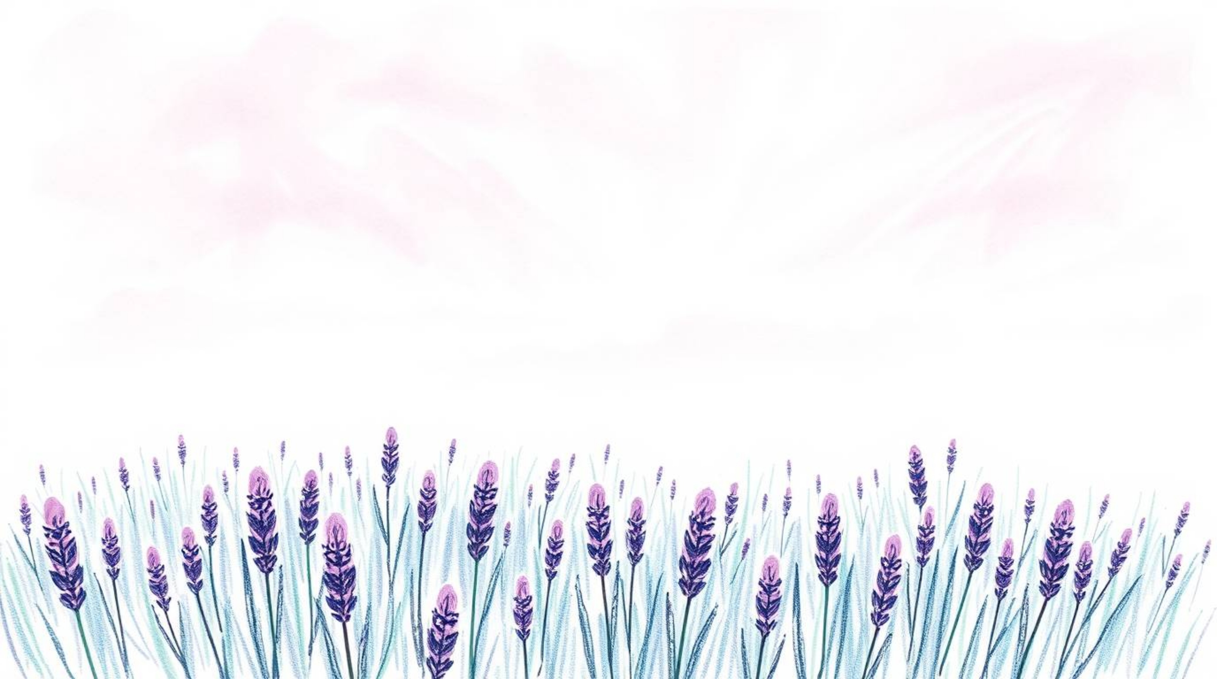 This artwork depicts lavender fields bathed in the ethereal glow of a dreamy pink sky.  Rendered in a hand-drawn style with t